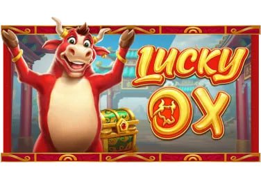 Tampilan aplikasi resmi toto212 dengan antarmuka mobile